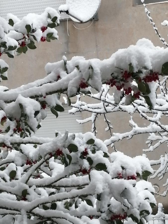 L Agrifoglio Di Rita Loddo Appartement Fonni Buitenkant foto