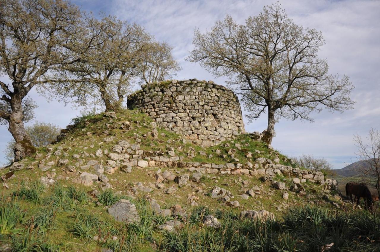 L Agrifoglio Di Rita Loddo Appartement Fonni Buitenkant foto